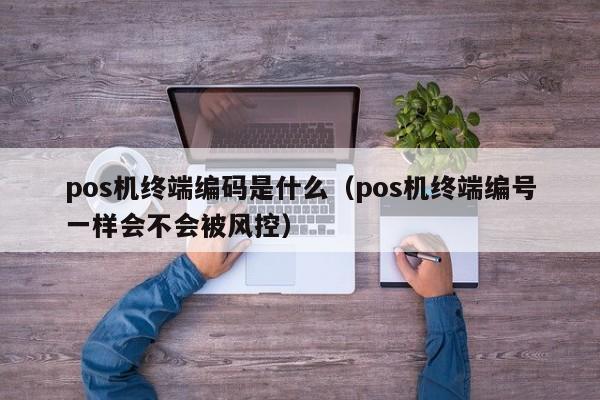 pos机终端编码是什么（pos机终端编号一样会不会被风控）