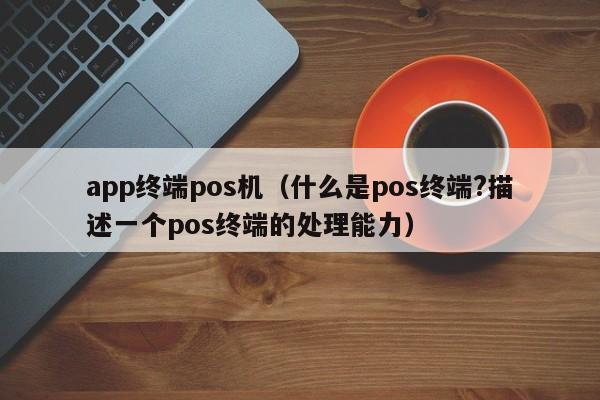 app终端pos机（什么是pos终端?描述一个pos终端的处理能力）