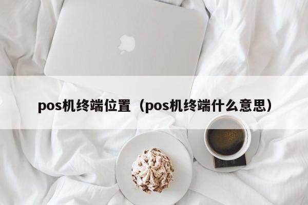 pos机终端位置（pos机终端什么意思）