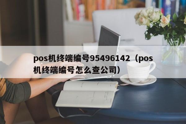 pos机终端编号95496142（pos机终端编号怎么查公司）