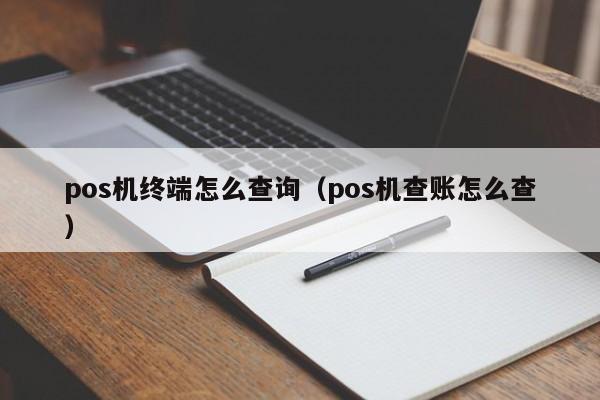 pos机终端怎么查询（pos机查账怎么查）