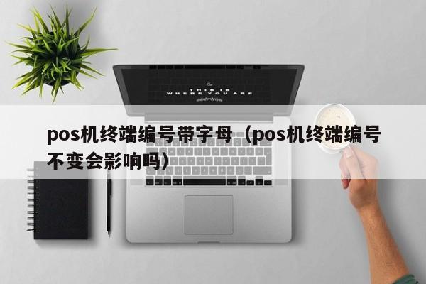 pos机终端编号带字母（pos机终端编号不变会影响吗）