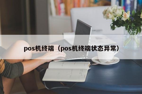 pos机终端（pos机终端状态异常）