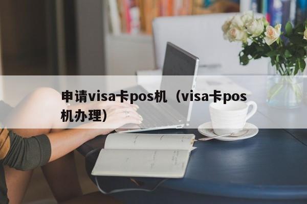 申请visa卡pos机（visa卡pos机办理）