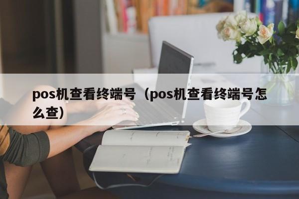 pos机查看终端号（pos机查看终端号怎么查）