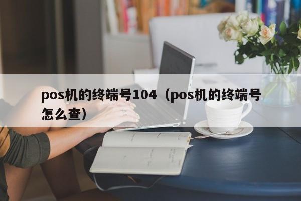 pos机的终端号104（pos机的终端号怎么查）