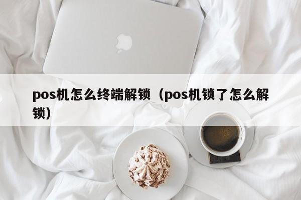 pos机怎么终端解锁（pos机锁了怎么解锁）