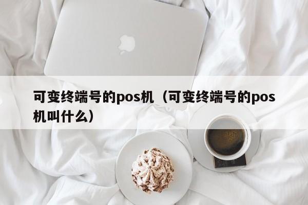 可变终端号的pos机（可变终端号的pos机叫什么）